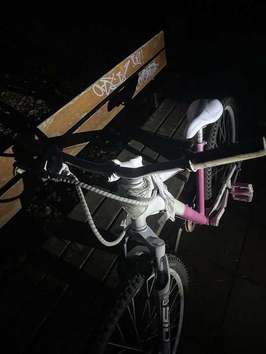 Hardtail puternic dezvoltat