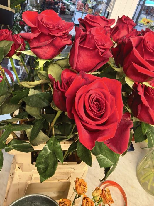 Букети рози flowers