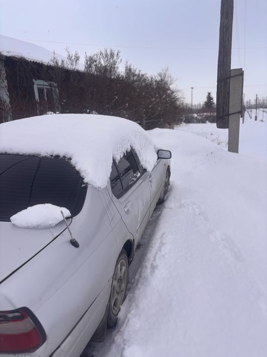 Продам Nissan bluberd ТОРГ