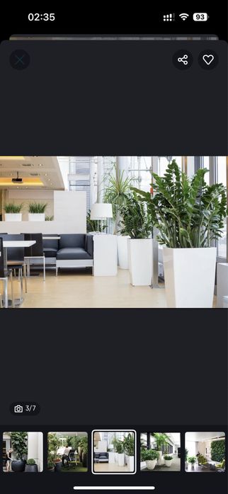 Уход за растениями