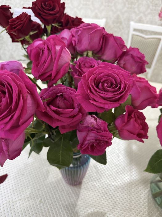 Продам цветы свежие