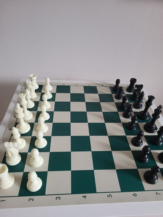 Шахматы на виниловой доске