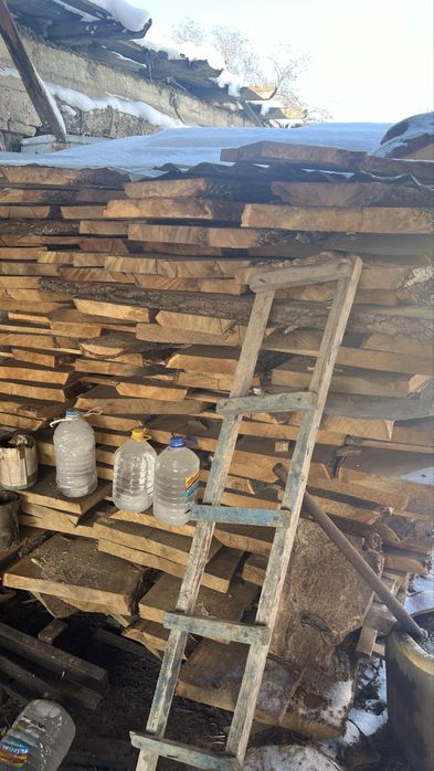 Продам лес  Дуб карагач тополь