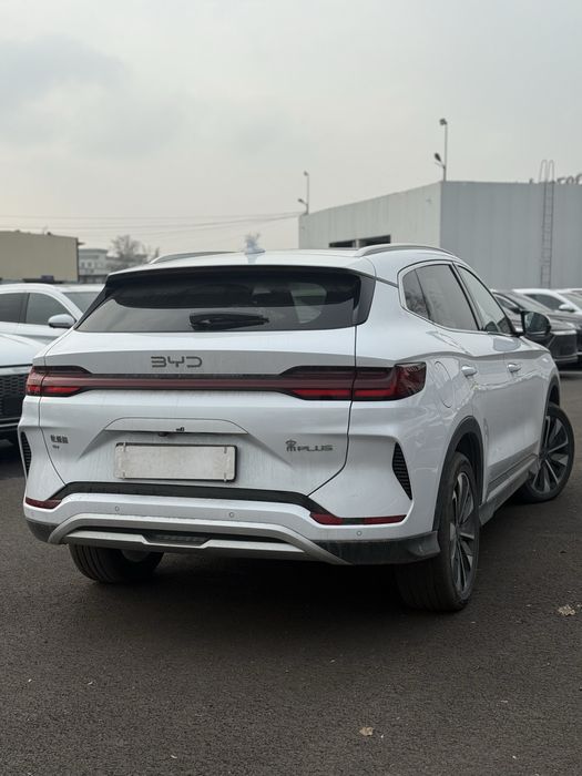 Smart BYD chempion 2024-25