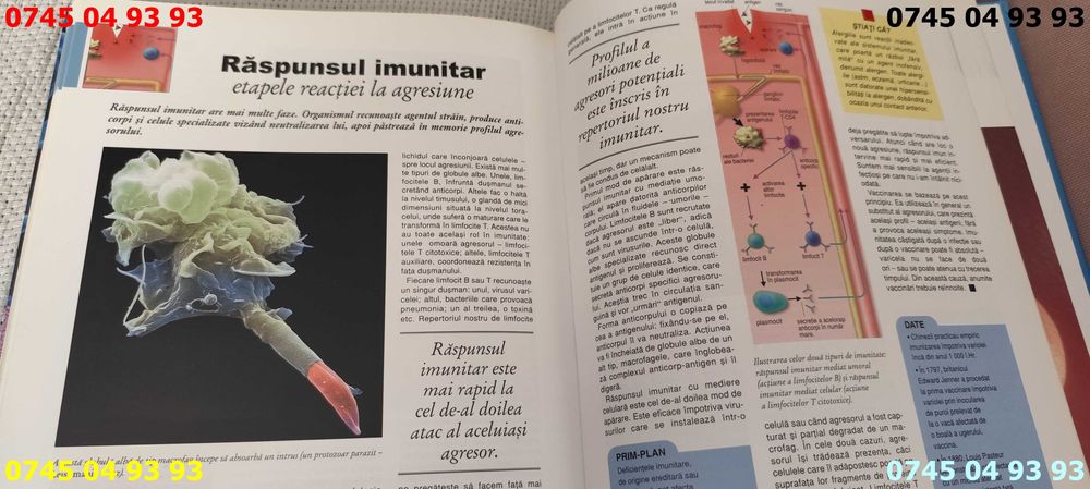 carte carti lumea stiintei corpul uman cartonata