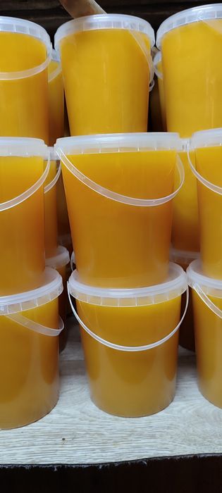 Продам натуральный мед 2026 года