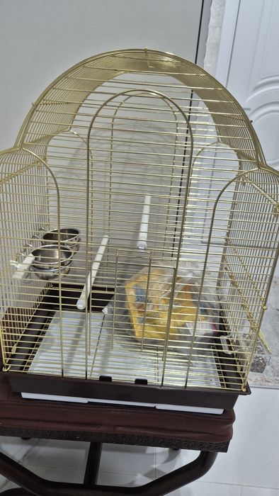 Клетка для попугая