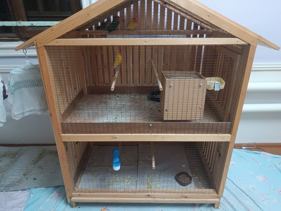 Неразлучка сотилади