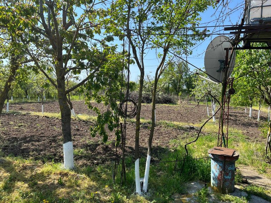 Casa + teren intravilan Sat Infratirea, Com Dor Marunt, Jud Calarasi