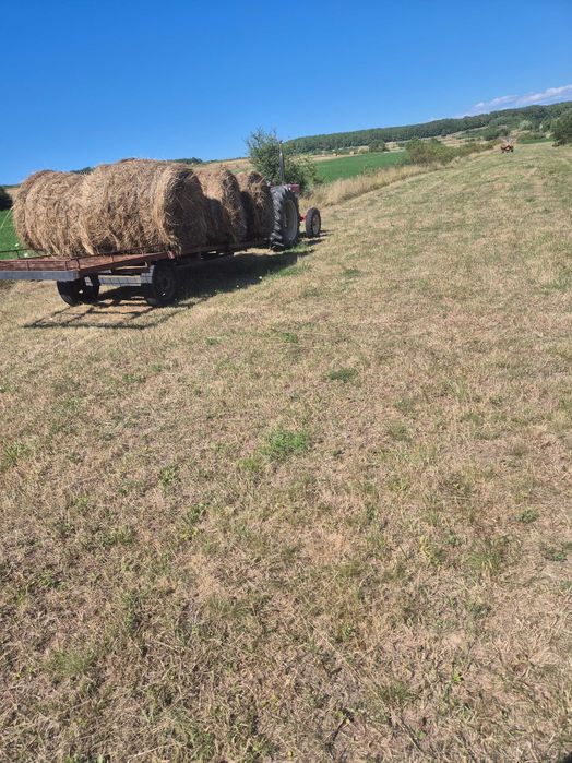 Vând 250 baloți de fân 120/120