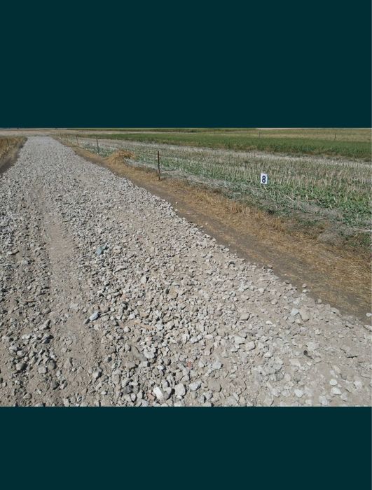 Teren Clinceni  500/1000 mp !