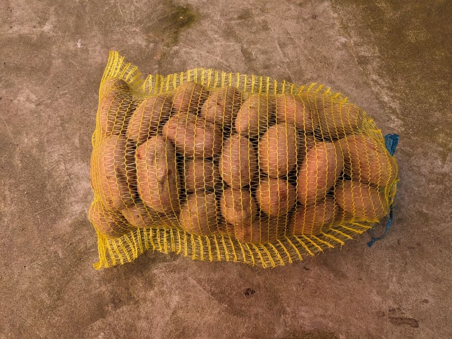 Vand cartofi de grădină ff gustoși