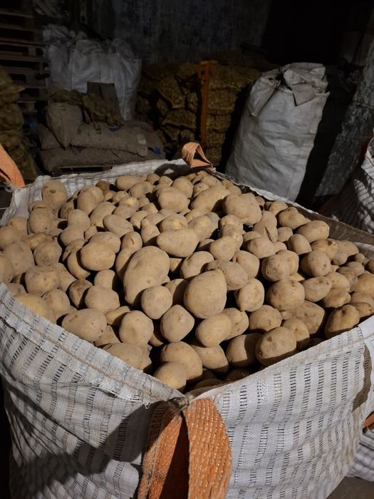 Картофи Сорая фракция 60+