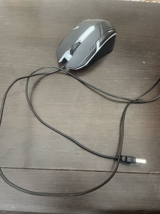 Кампитор на мишка