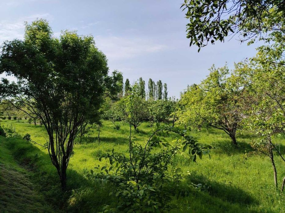 Yer uchaskasi sotiladi