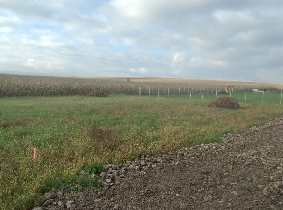 Teren Simeria pentru casă de vacanță