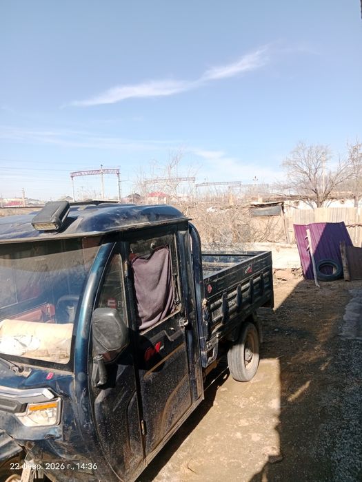 Муравей ток пенен журеди