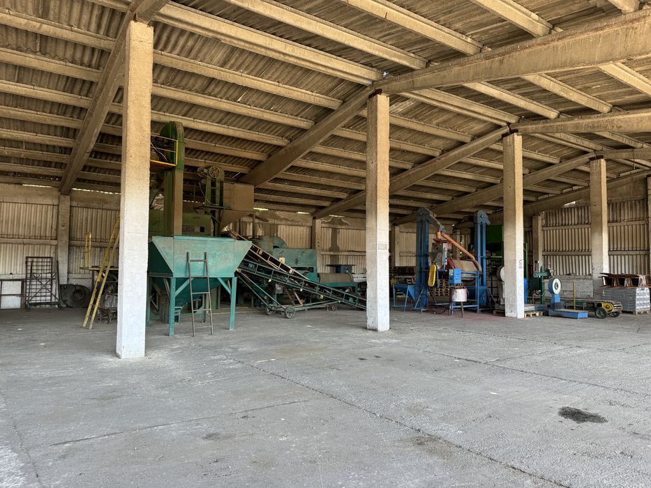 Selector  Cereale  ( tratare si ambalare )