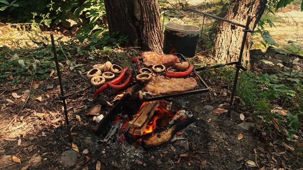 Gratar camping, bushcraft.