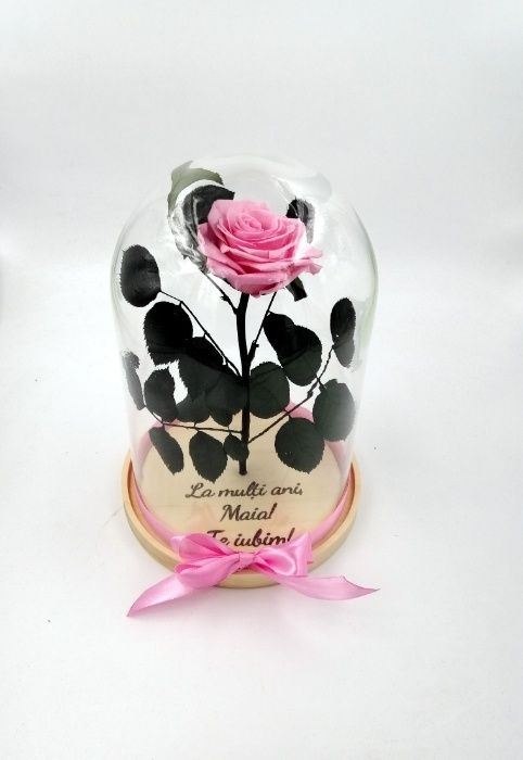 Trandafir Criogenat BiaRose mare 9cm in cupola mare de sticla 28-30cm