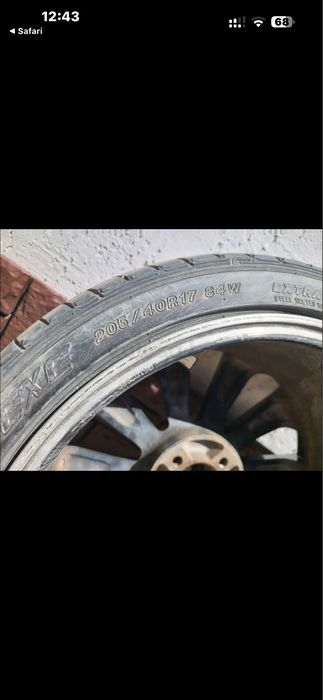 Rays Versus BL-10 Genoma