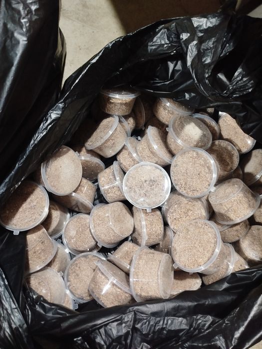 Опариш ва чувалчанглар