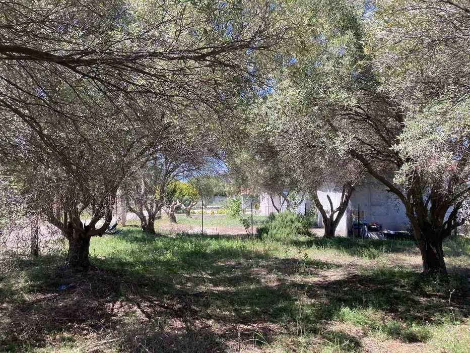 Парцел в Гърция - Халкидики - 560 м2