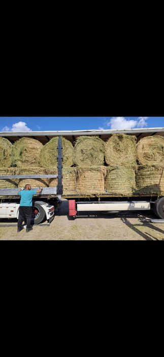 Baloti lucerna or fan.Rotunzi min.40.Dreptunghiulari.500.Transp.inclus