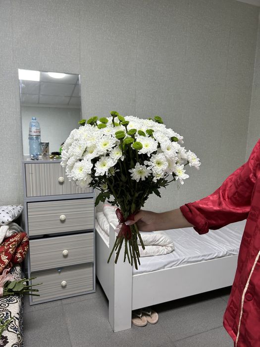 Хризантемы в белом цвете