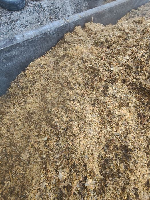 Кукуруза силос барда