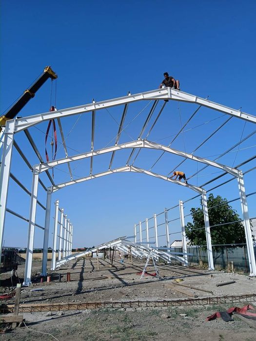 Vand hala metalică 8x20x4