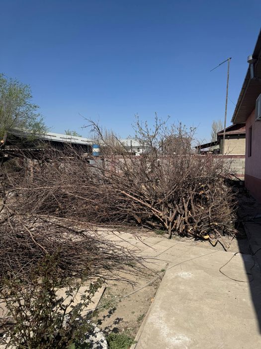 Аккуратно собранные ветки