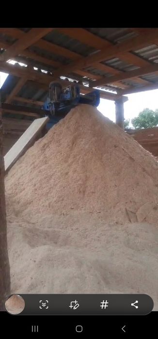 Продам опилки в мешках, машинами