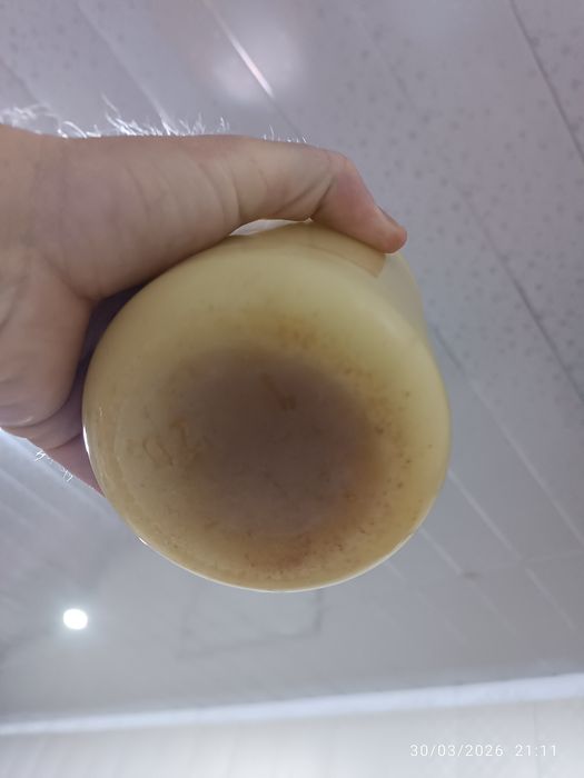 Sariq yogʻ saryogʻ sariyoq saryogʻ