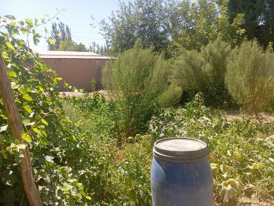 1 сотиги 12000$ 3 сотик яна келишамиз