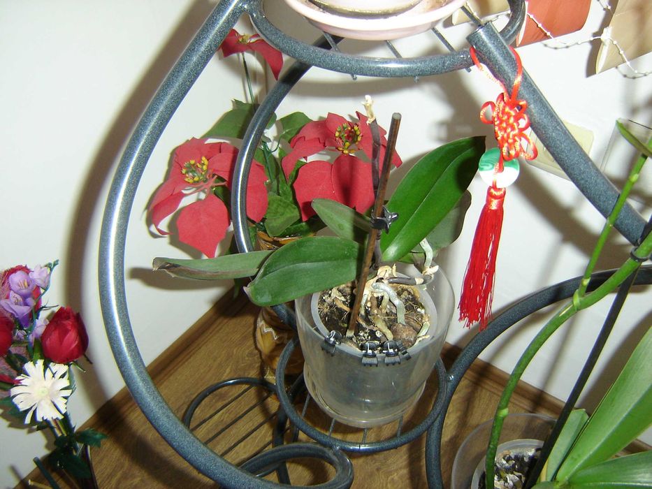 Sony Cyber-shot DSC-P73