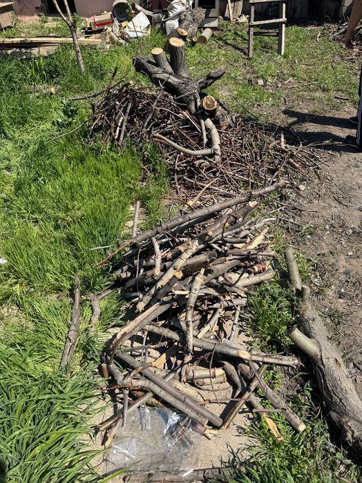 Отынға ағаштар, бұталған дайын