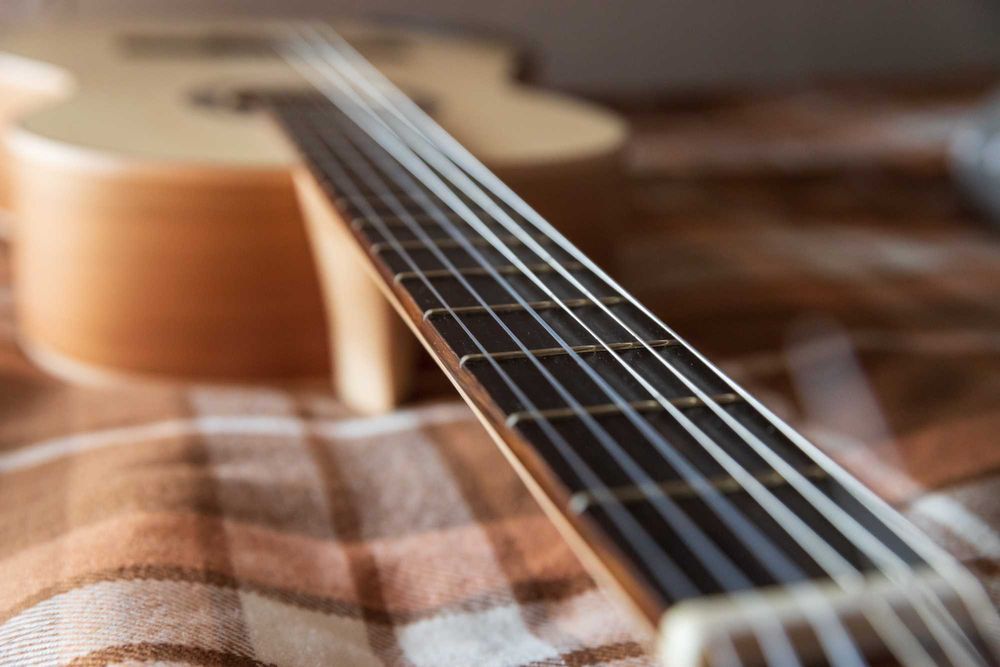 Классическая гитара, Manuel Rodriguez E-65