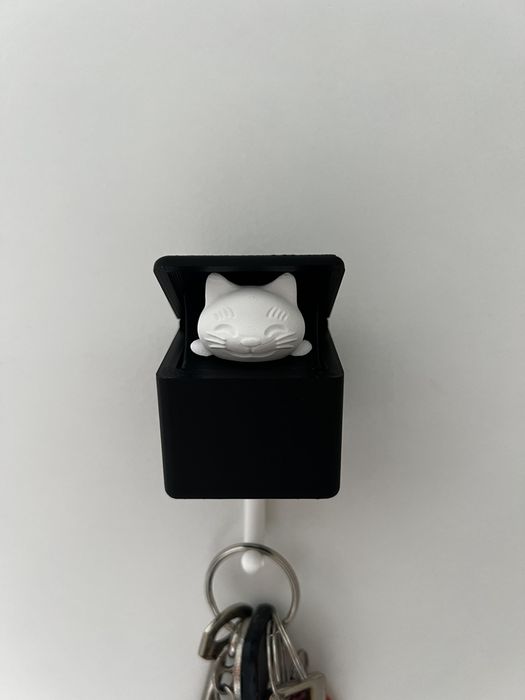 Поставка за ключ (котка)