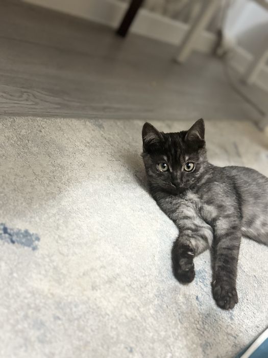 В любящие руки девочка