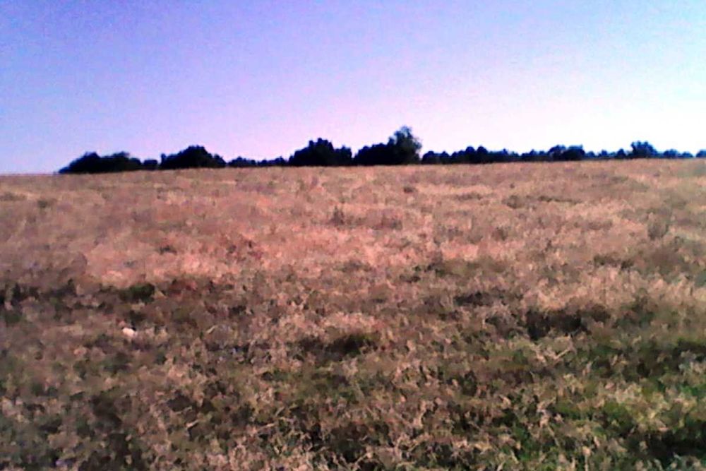 Продава се Земеделски имот в Пловдив, Тракия -  кв.м за 715 €/дка - Снимка #15