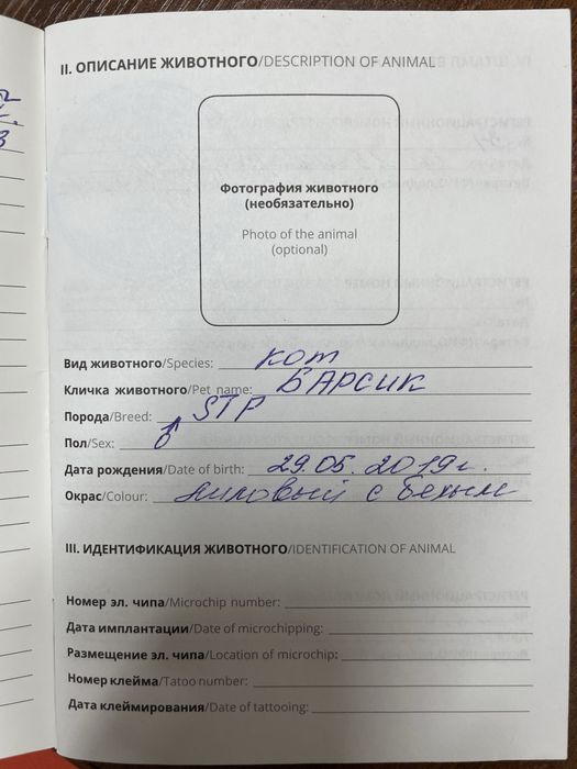 Отдам в добрые руки кота.