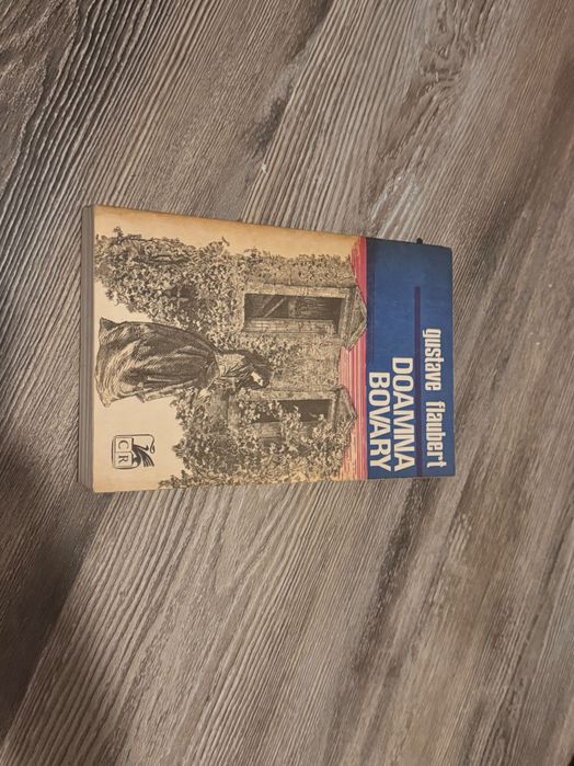 Carte Doamna Bovary, stare excelenta