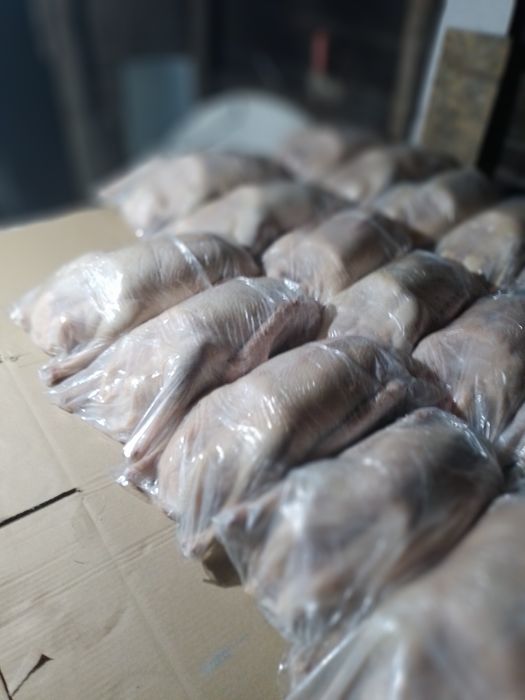 Гуси тушками Гуси