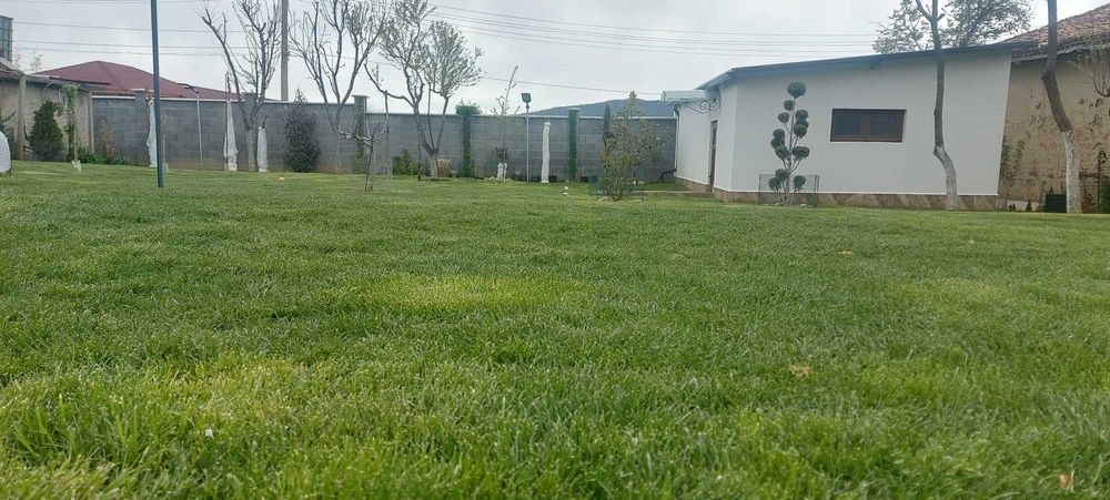 Косене на трева райграс с моторна коса или косачка за Шумен и селата