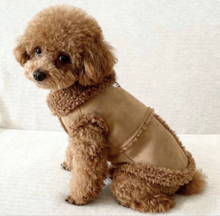 Модерно яке за куче