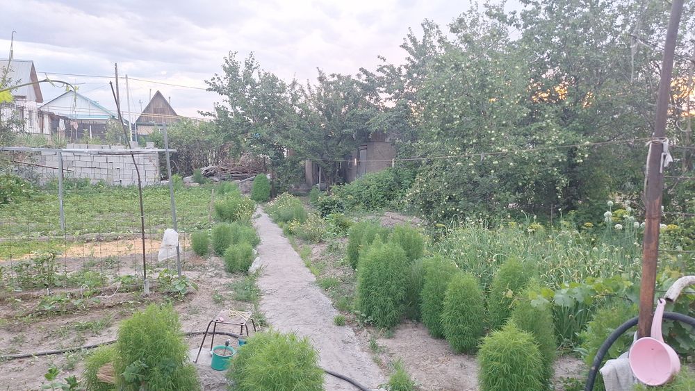 Продам живой дом