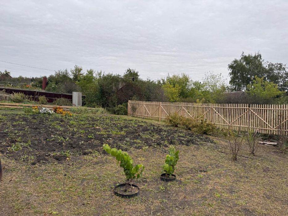 Продам дачу д/о Каштан