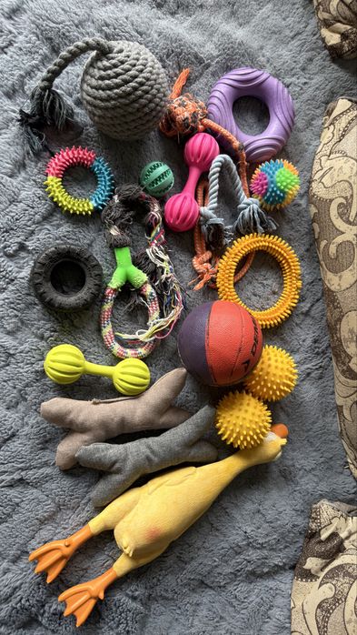 Игрушки для собак