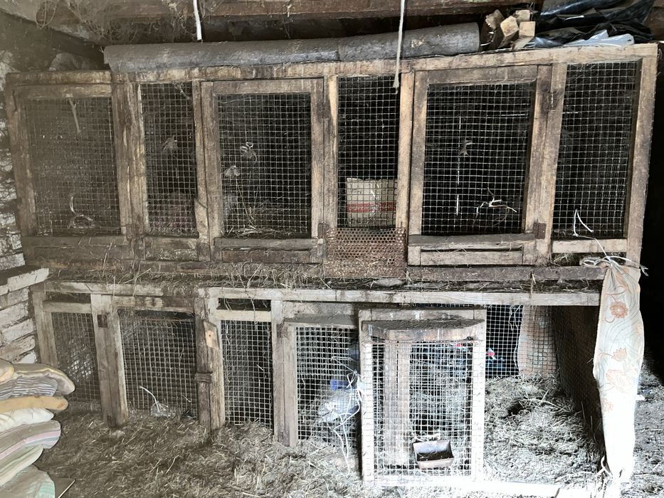 Продам большие клетки